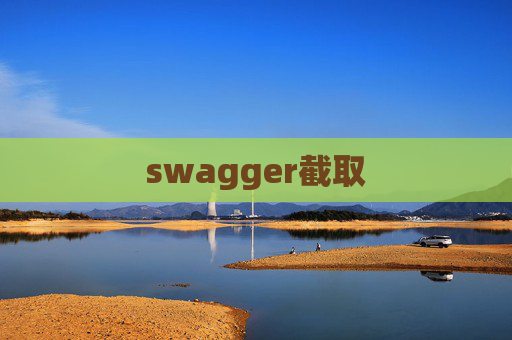 swagger截取